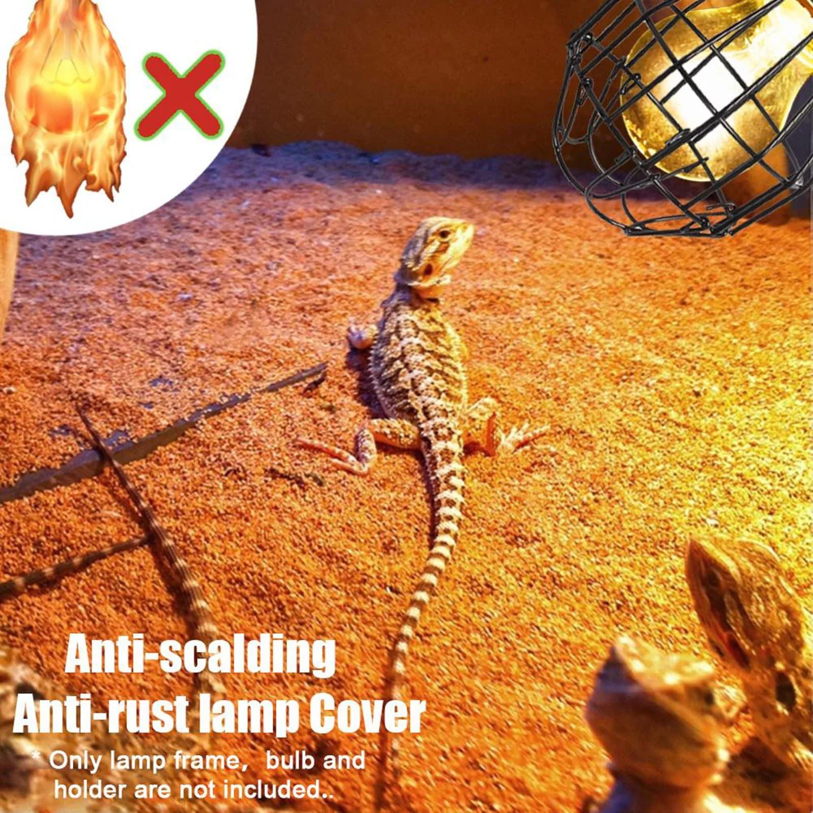 Reptile Heating Lamp Guard Shield