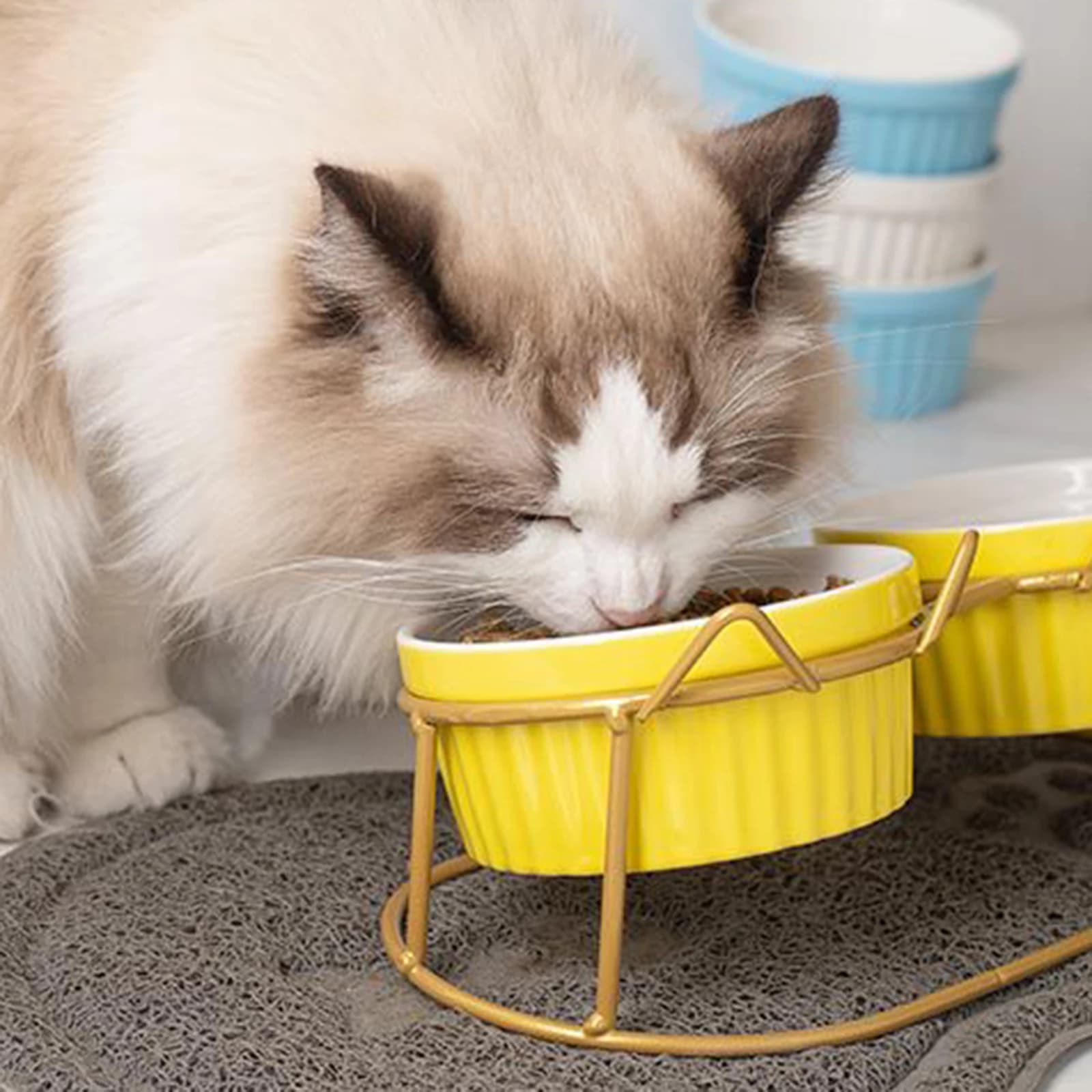 Elevated Double Cat Food Bowl Stand