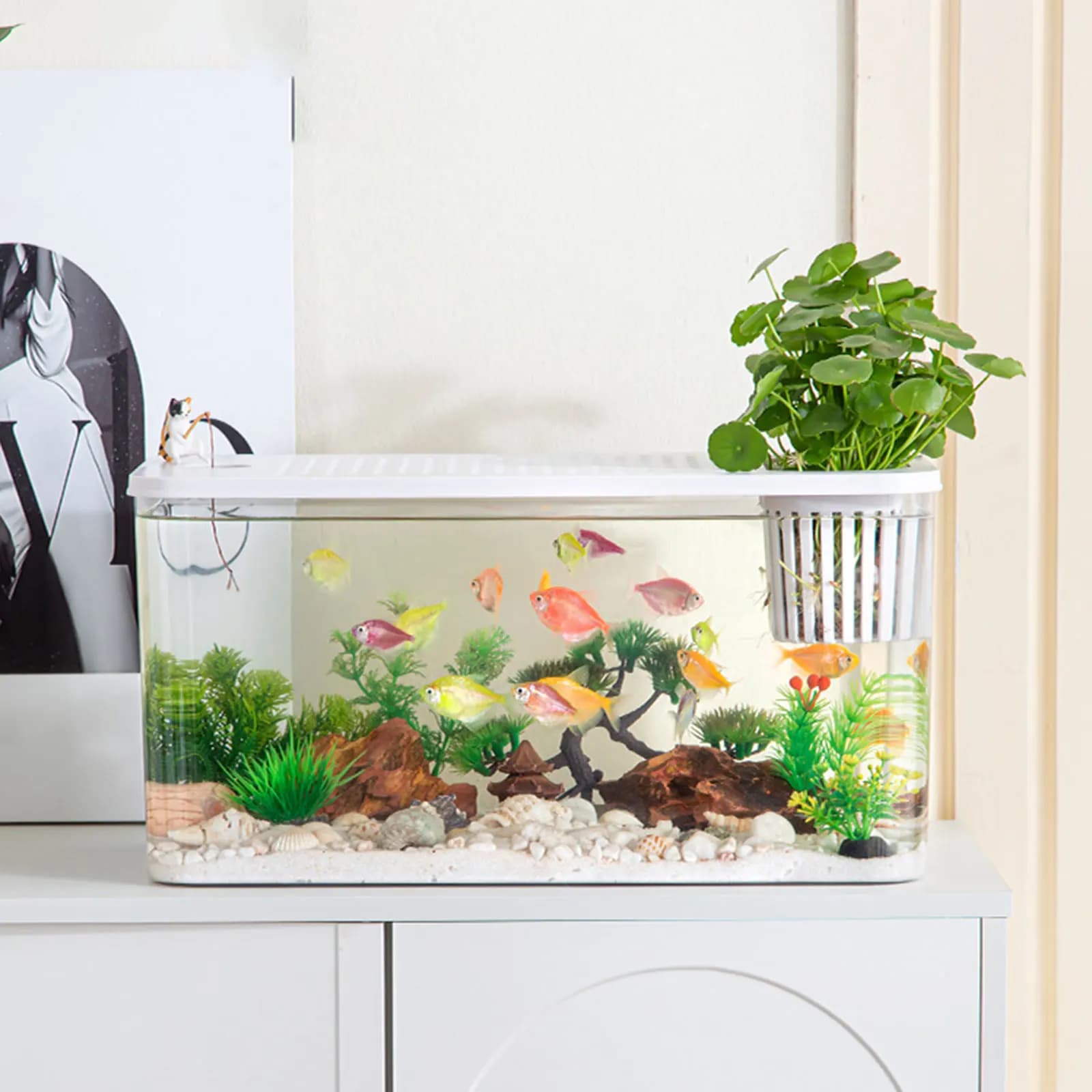 Reptile Terrarium Clear View Breeding Tank Habitat