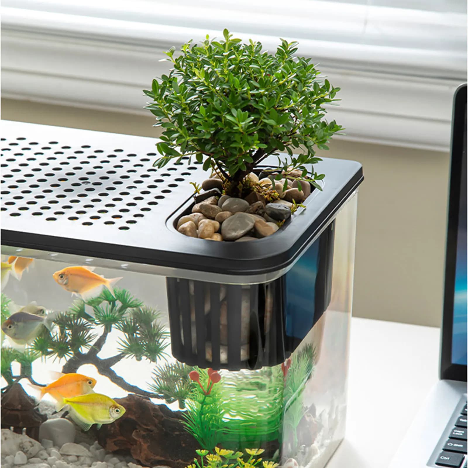 Reptile Terrarium Clear View Breeding Tank Habitat