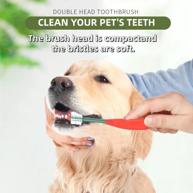 Dog Toothbrush and Toothpaste Kit