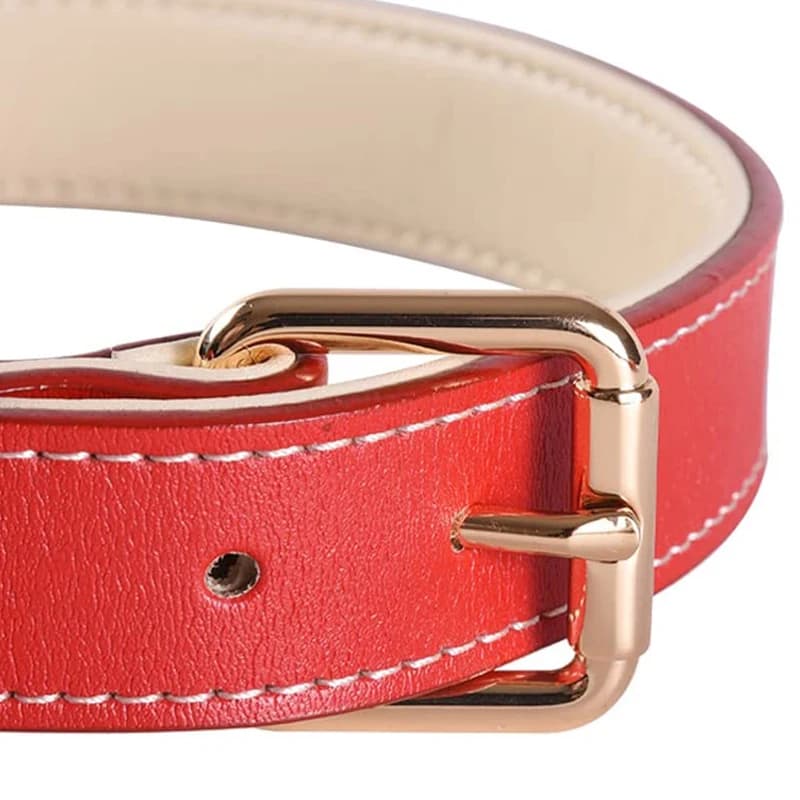 Padded Full Grain Leather Dog Collar