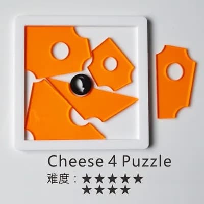 Master Level Jigsaw Puzzle Brain Teaser