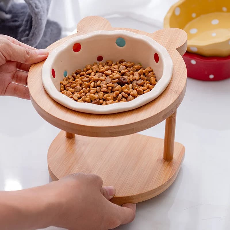 Raised Double Bowl Pet Feeder with Wooden Stand
