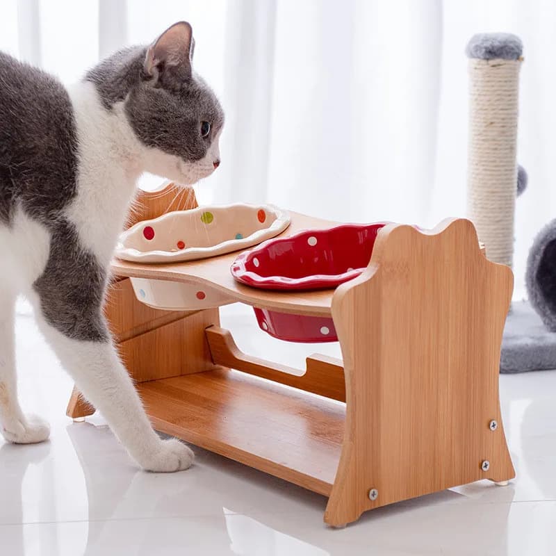 Raised Double Bowl Pet Feeder with Wooden Stand