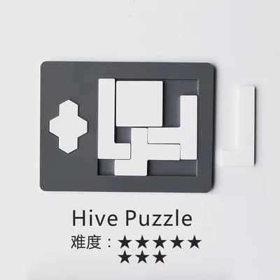 Master Level Jigsaw Puzzle Brain Teaser