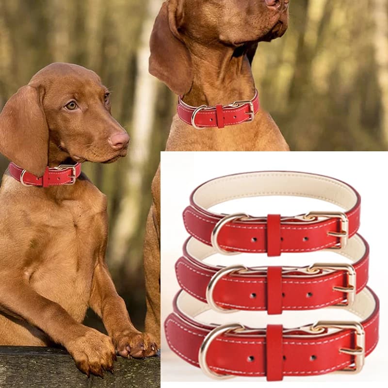 Padded Full Grain Leather Dog Collar