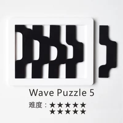 Master Level Jigsaw Puzzle Brain Teaser