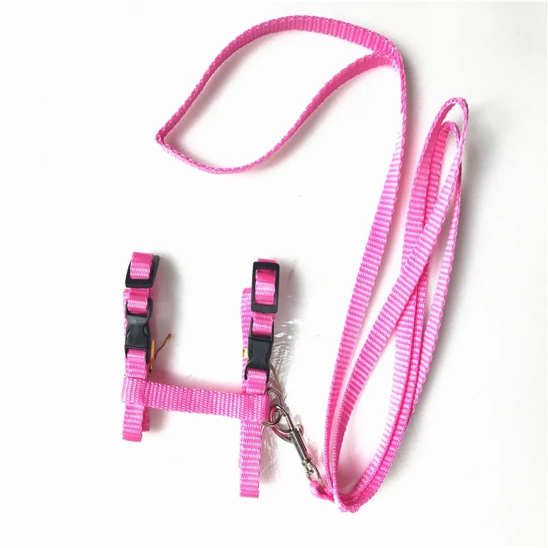 Adjustable Nylon Cat Harness and Leash Set