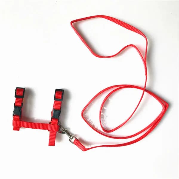 Adjustable Nylon Cat Harness and Leash Set