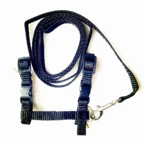Adjustable Nylon Cat Harness and Leash Set