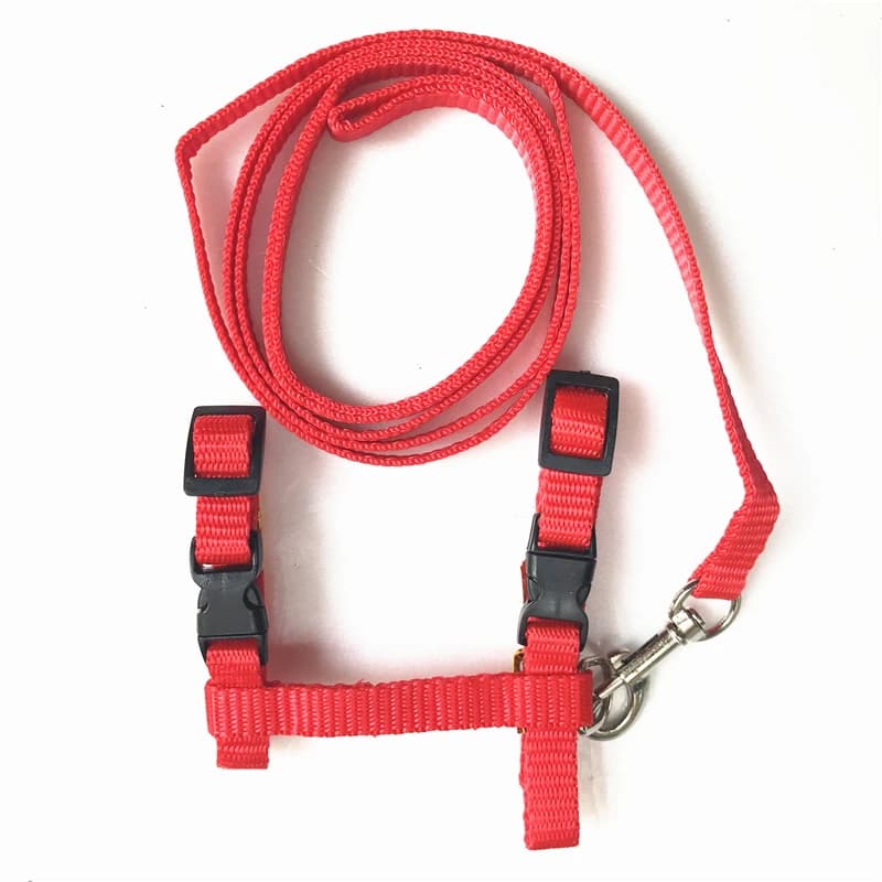 Adjustable Nylon Cat Harness and Leash Set