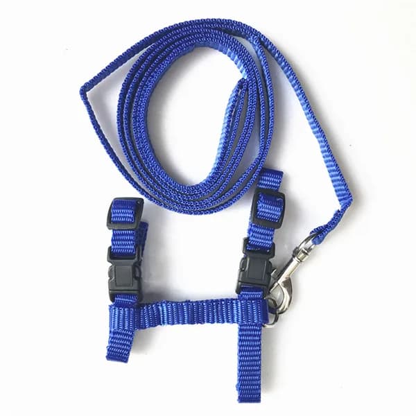 Adjustable Nylon Cat Harness and Leash Set