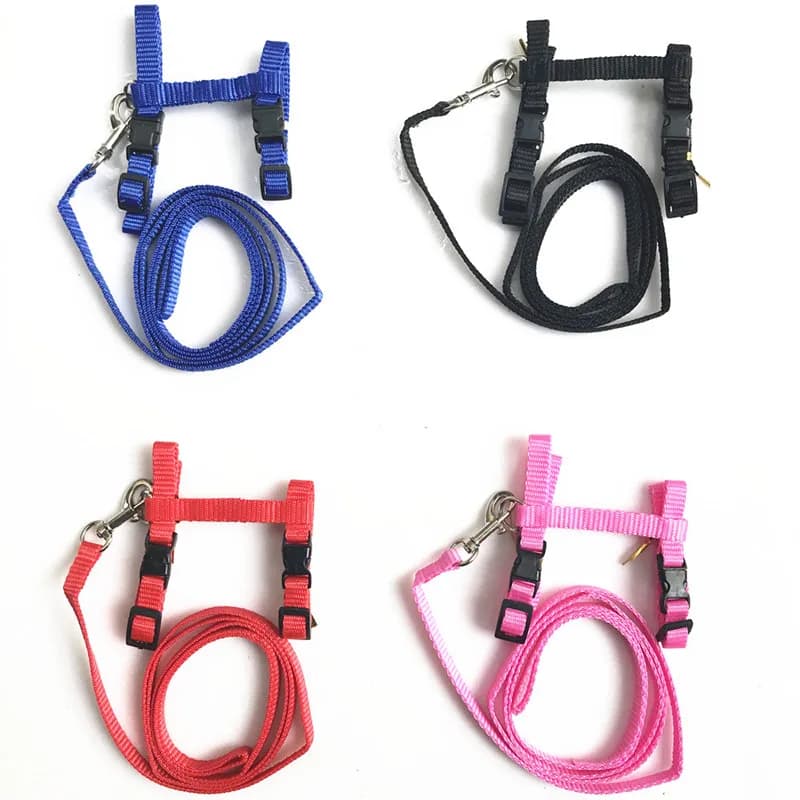 Adjustable Nylon Cat Harness and Leash Set