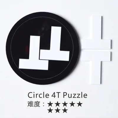 Master Level Jigsaw Puzzle Brain Teaser
