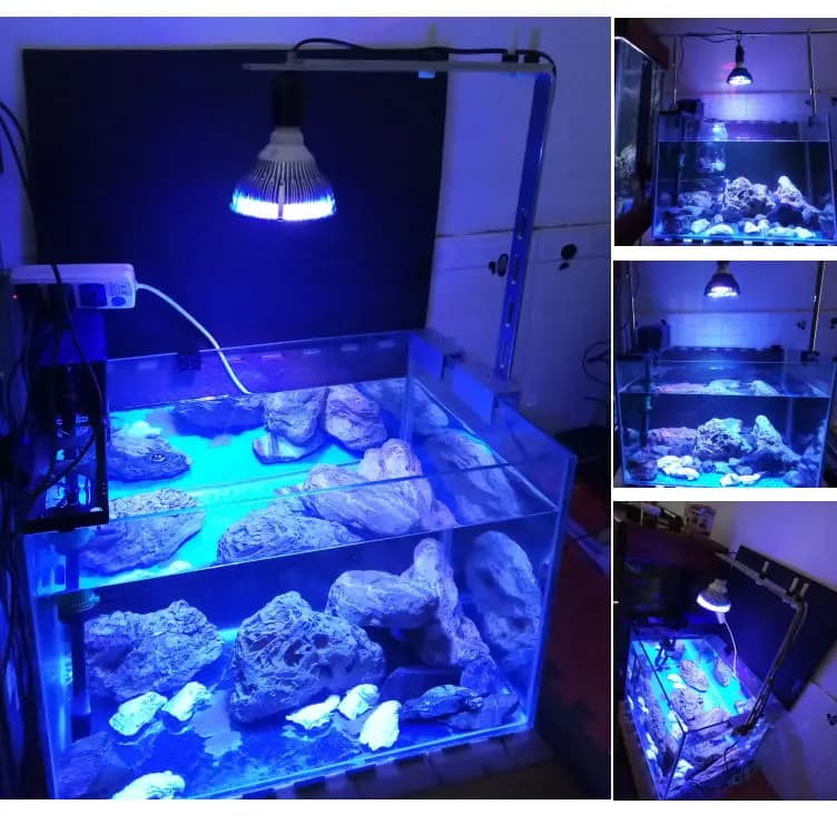 LED Aquarium Light for Saltwater, Plant Bulb, Marine Moral Reef, Sump Algae, Nano Tank, 50 W, 54W