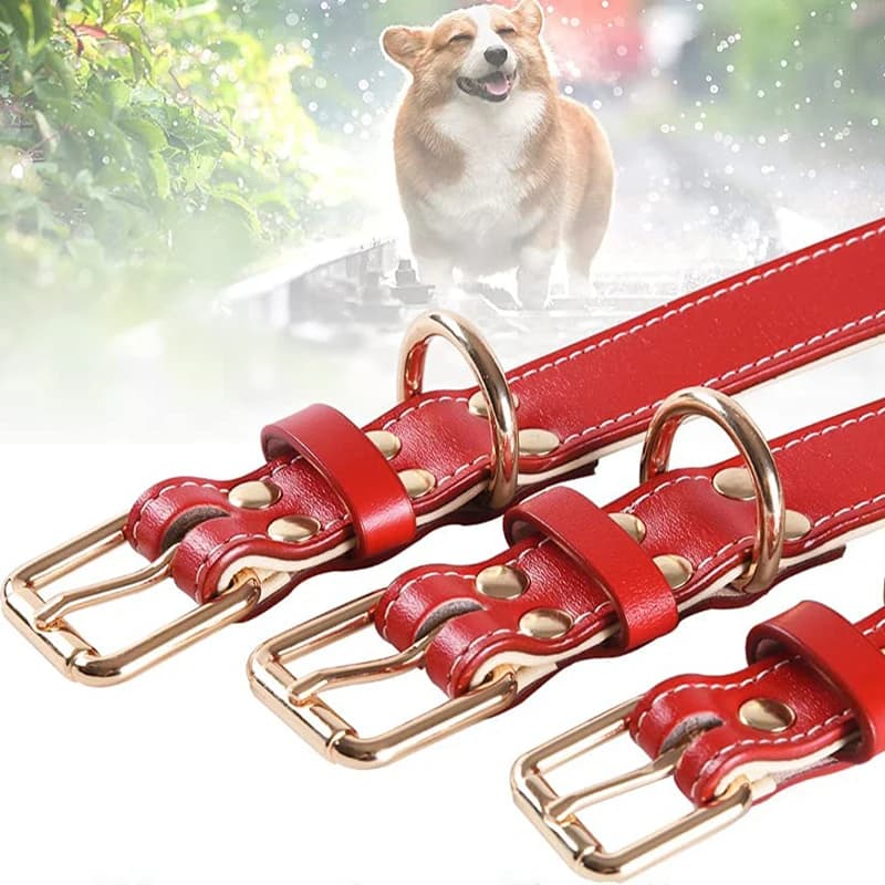 Padded Full Grain Leather Dog Collar