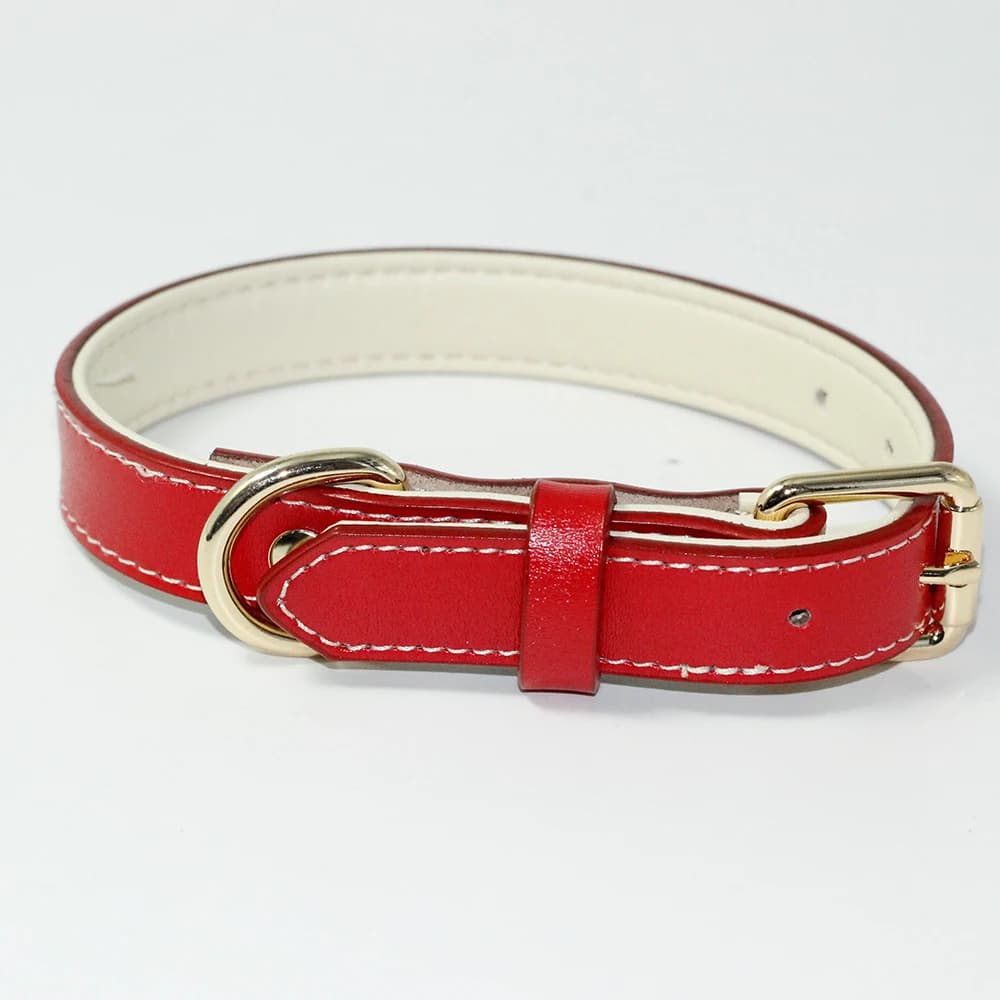 Padded Full Grain Leather Dog Collar