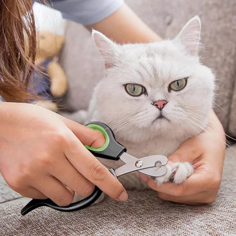 Small Animal Dog Cat Nail Clipper Scissor