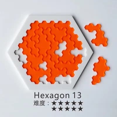Master Level Jigsaw Puzzle Brain Teaser
