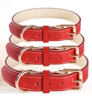 Padded Full Grain Leather Dog Collar