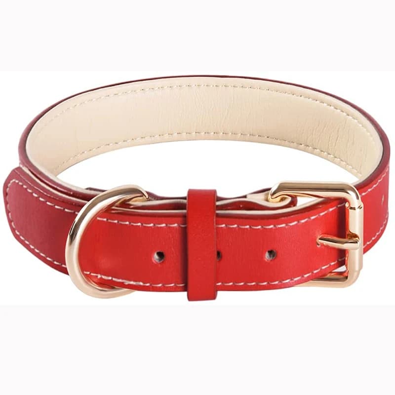 Padded Full Grain Leather Dog Collar