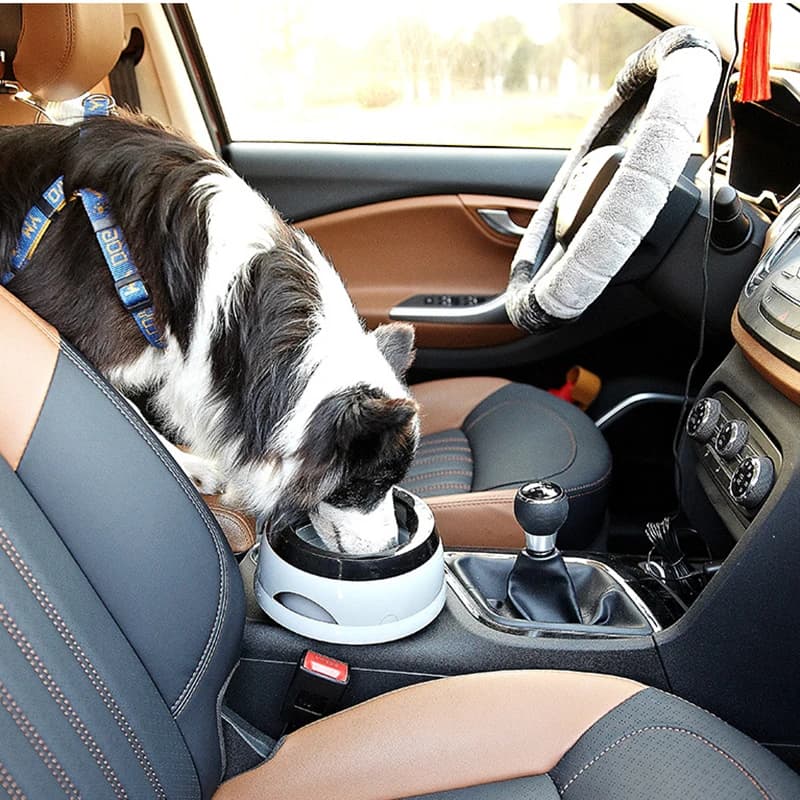 No-Spill Floating Pet Water Bowl