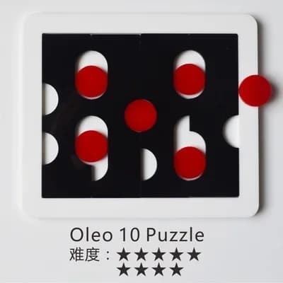 Master Level Jigsaw Puzzle Brain Teaser