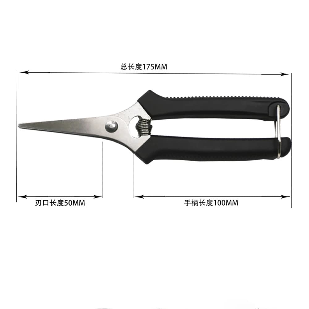 Pruning Shears and Florist Scissors