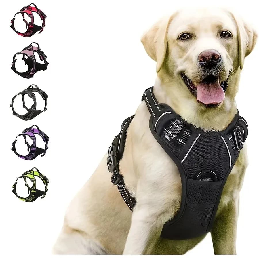 Dog Collar Harness and Leash Set