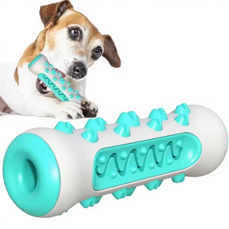 Dog Molar Dental Chew Toy with Treat Dispenser