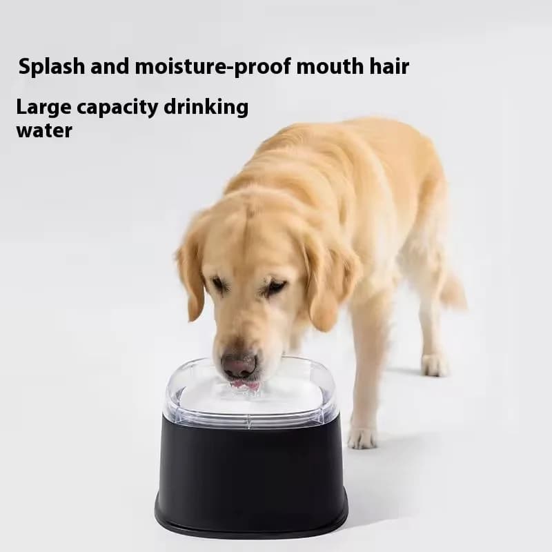 Floating Pet Water Bowl with Anti-Splash Design