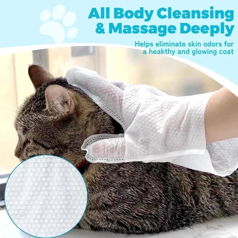 Pet Cleaning Gloves 6-Pack Disposable Wipes