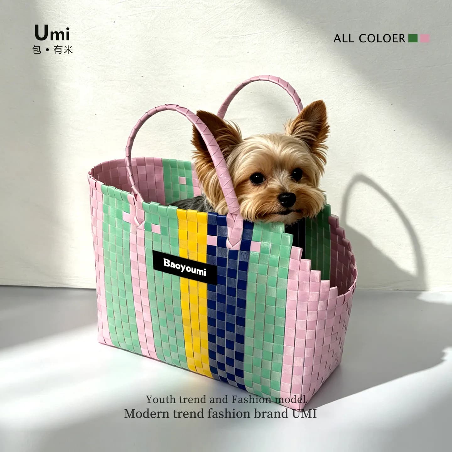 Hand-Woven Small Pet Carrier Bag