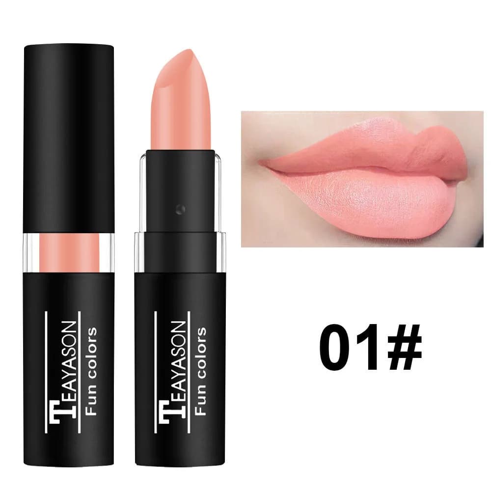 12 Color Waterproof Matte Lipstick Palette