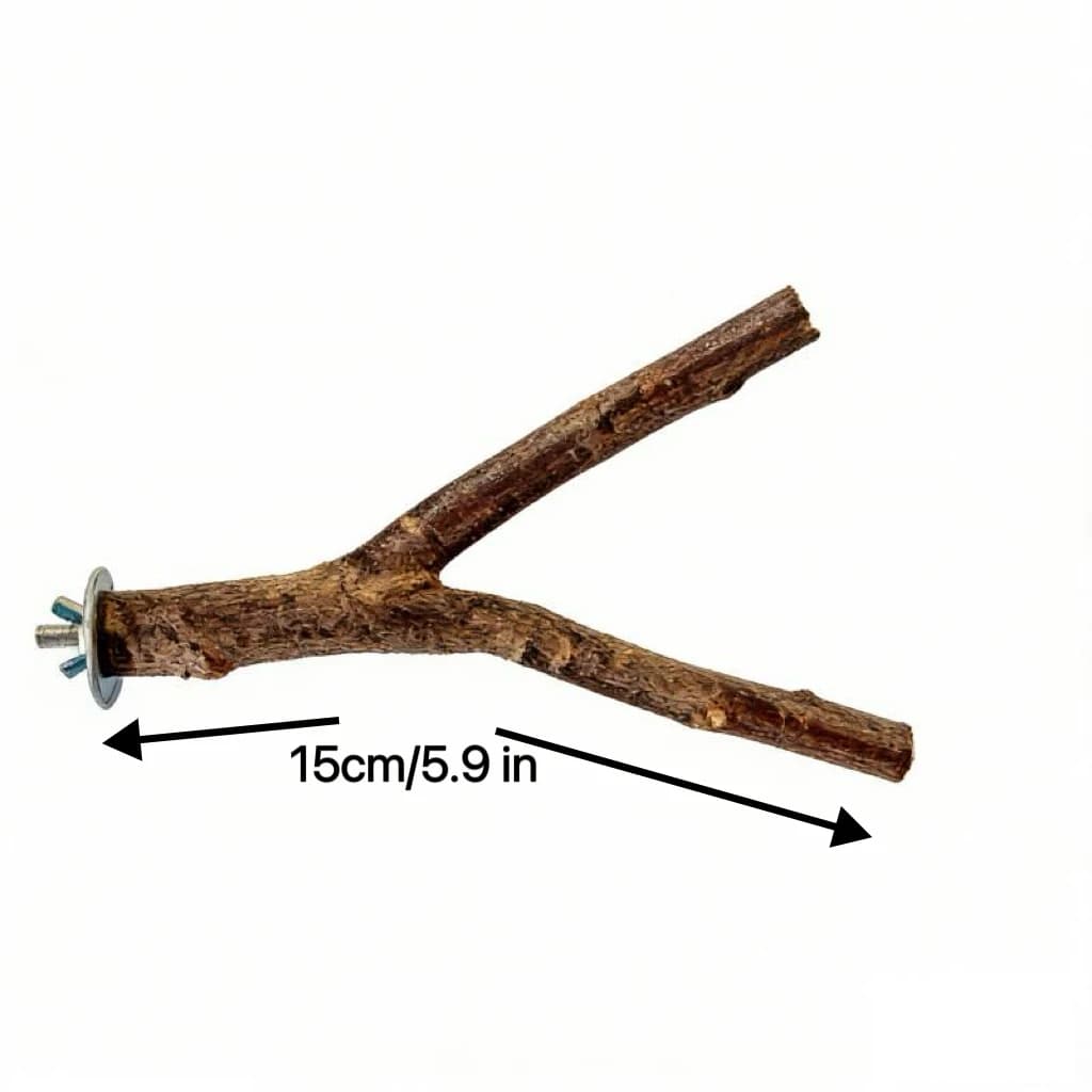 Natural Wood Forked Bird Perch Stand