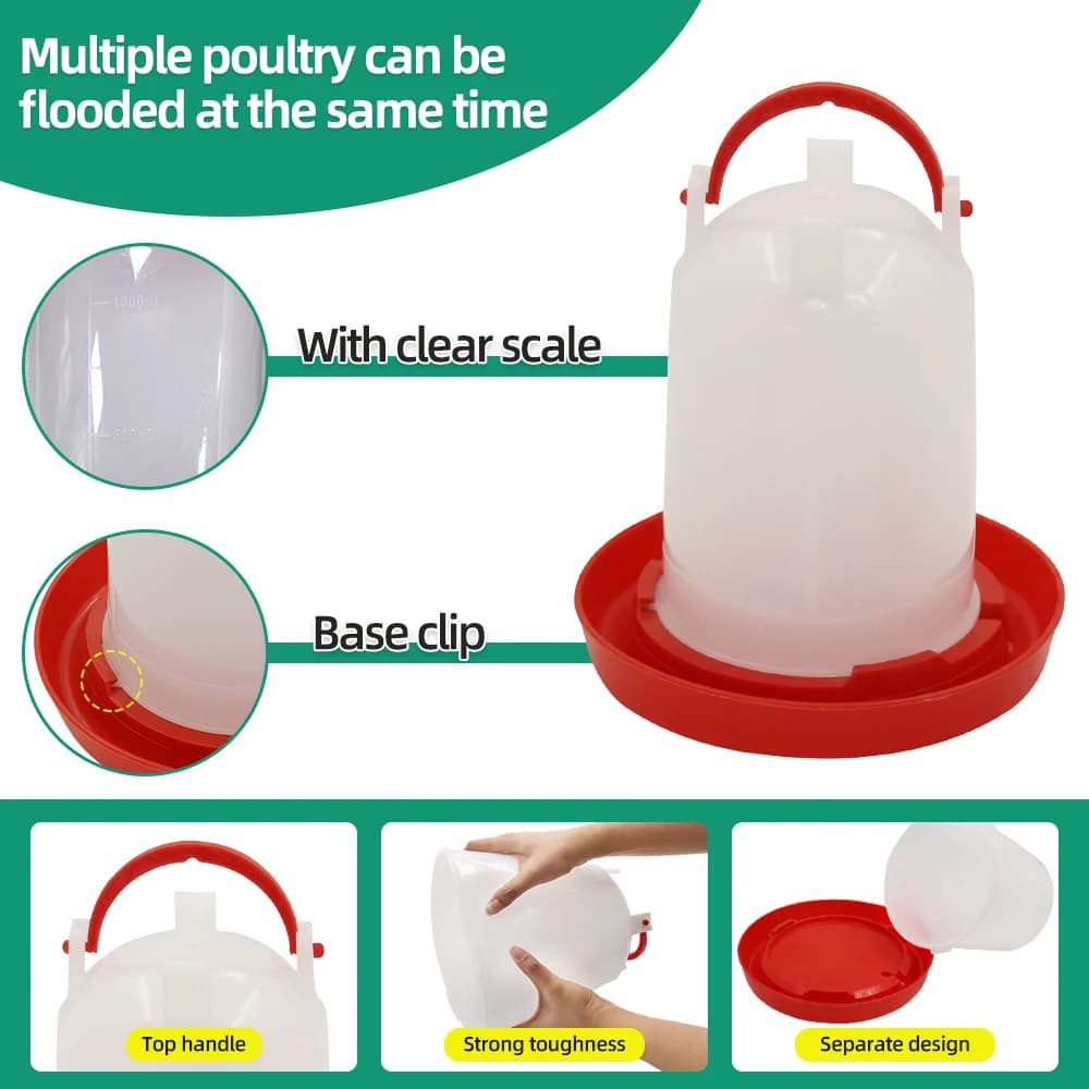 Chicken Feeder and Waterer Set