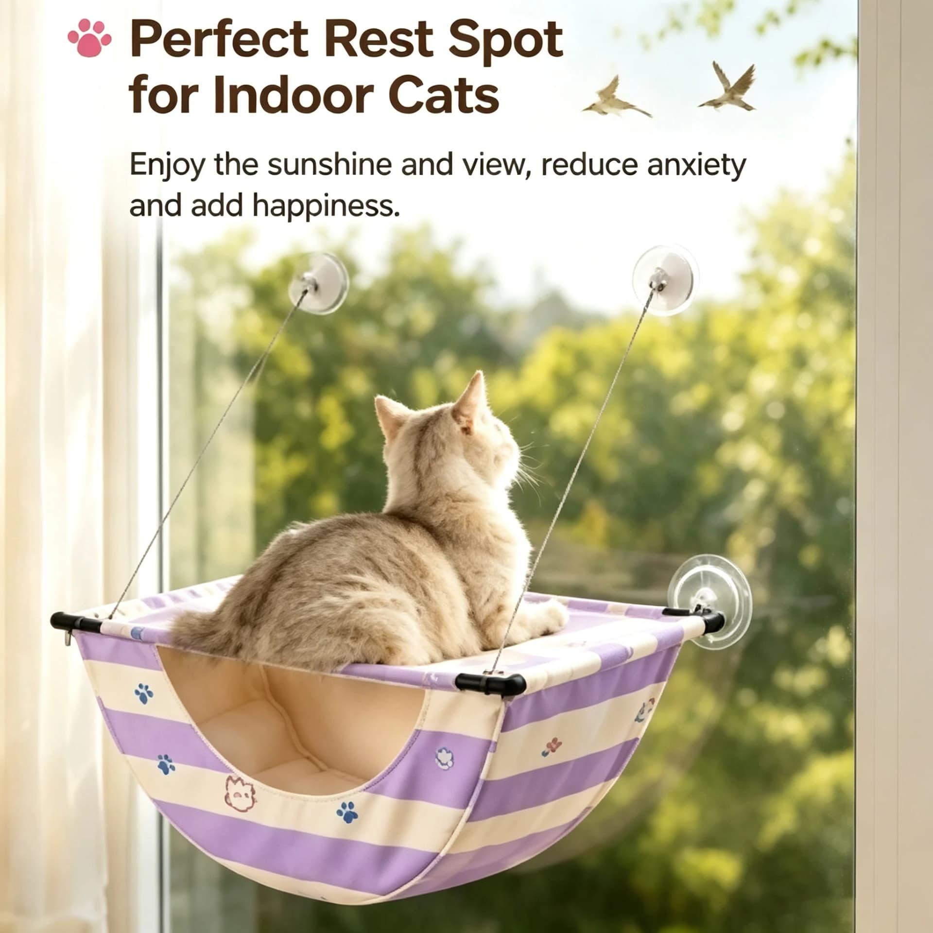 Window Suction Cup Cat Hammock with Storage