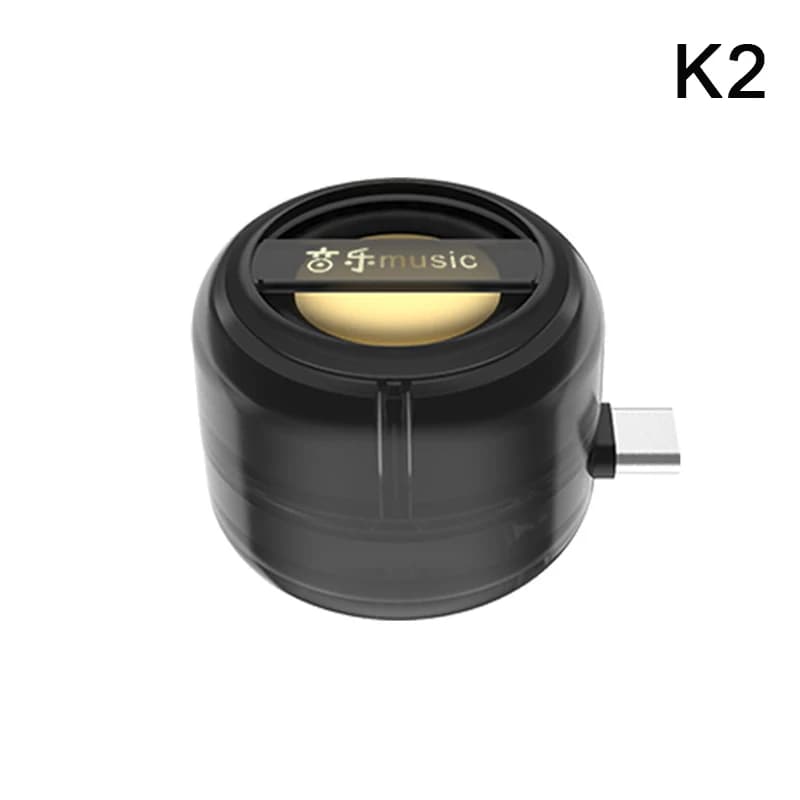 Portable Mini Wireless Speaker with USB-C and Aux