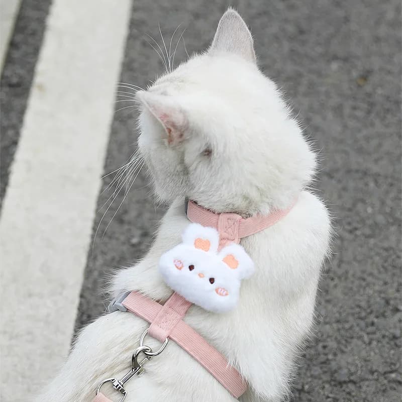Adjustable Breathable Pet Harness and Leash Set