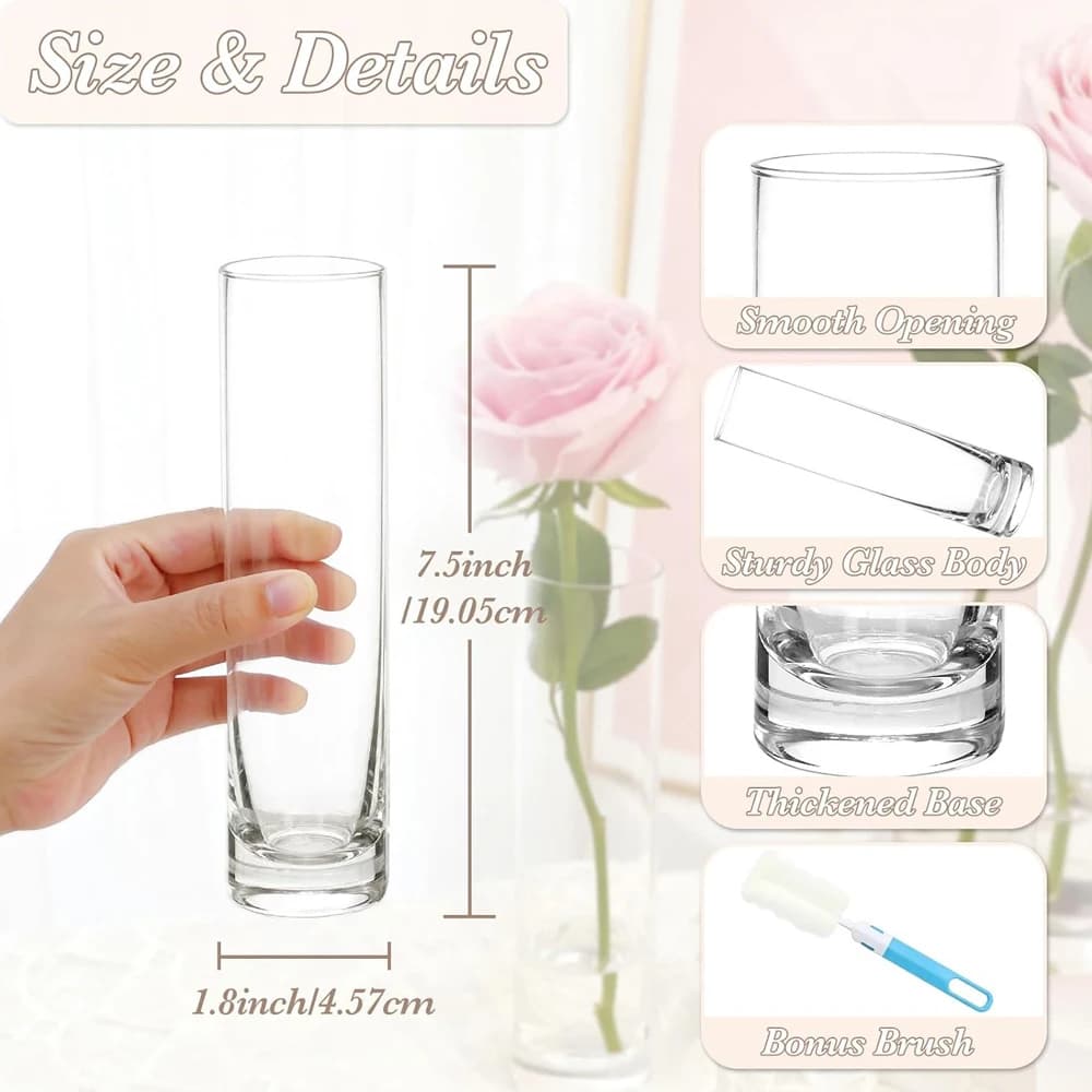 Glass Cylinder Bud Vases