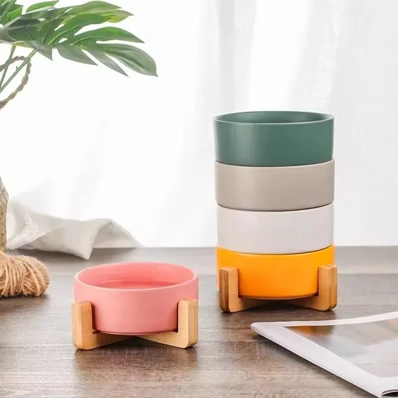 Elevated Ceramic Pet Bowl Feeder Set