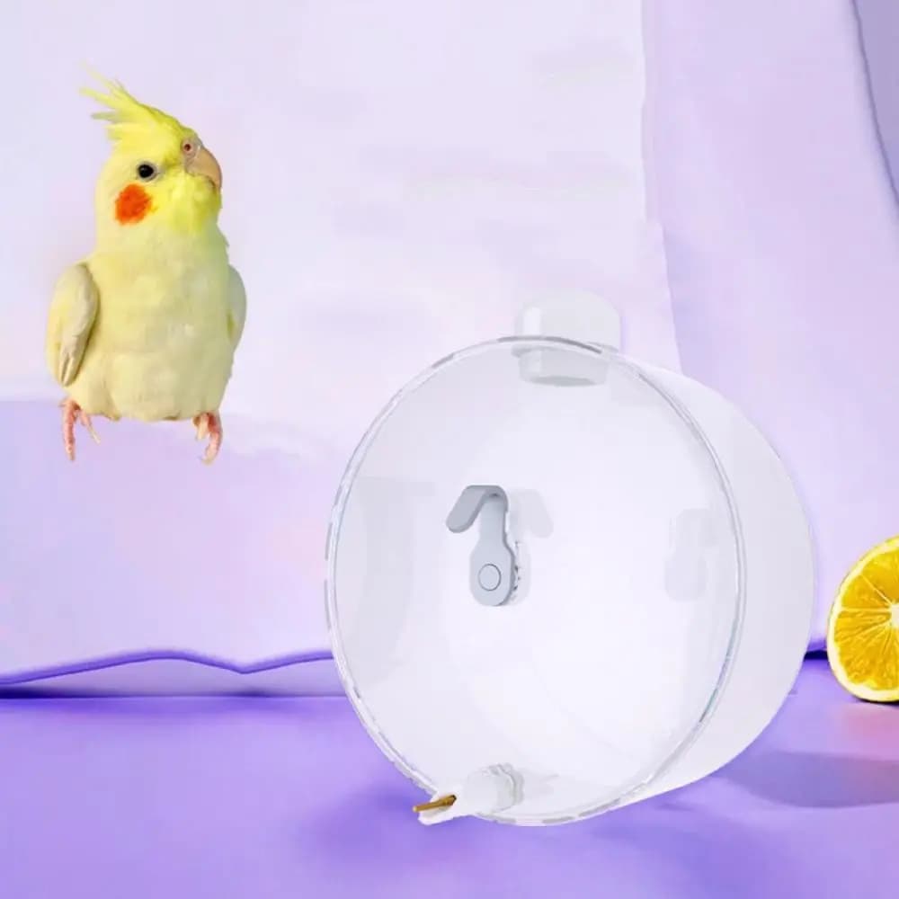 Bird Water Feeder Bottle 350ml Transparent