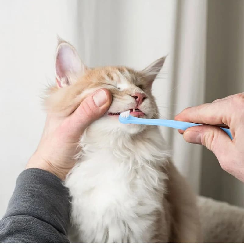 Soft-Bristle Pet Toothbrush