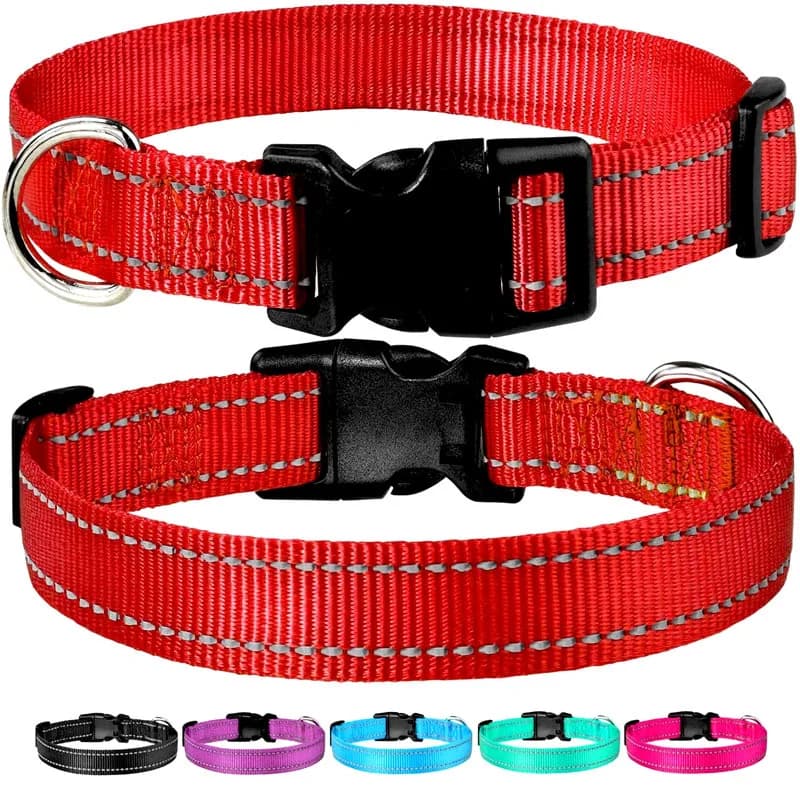 Adjustable Dog Collar with Quick Release Buckle