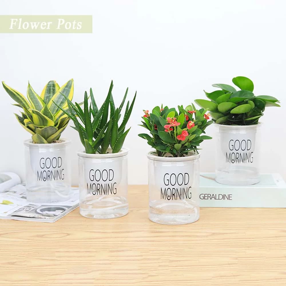 Garden Table Balcony Auto Irrigate Green Dill Office Succulents Garden Supplies Home Decor Flower Pots Planters Plant Pot