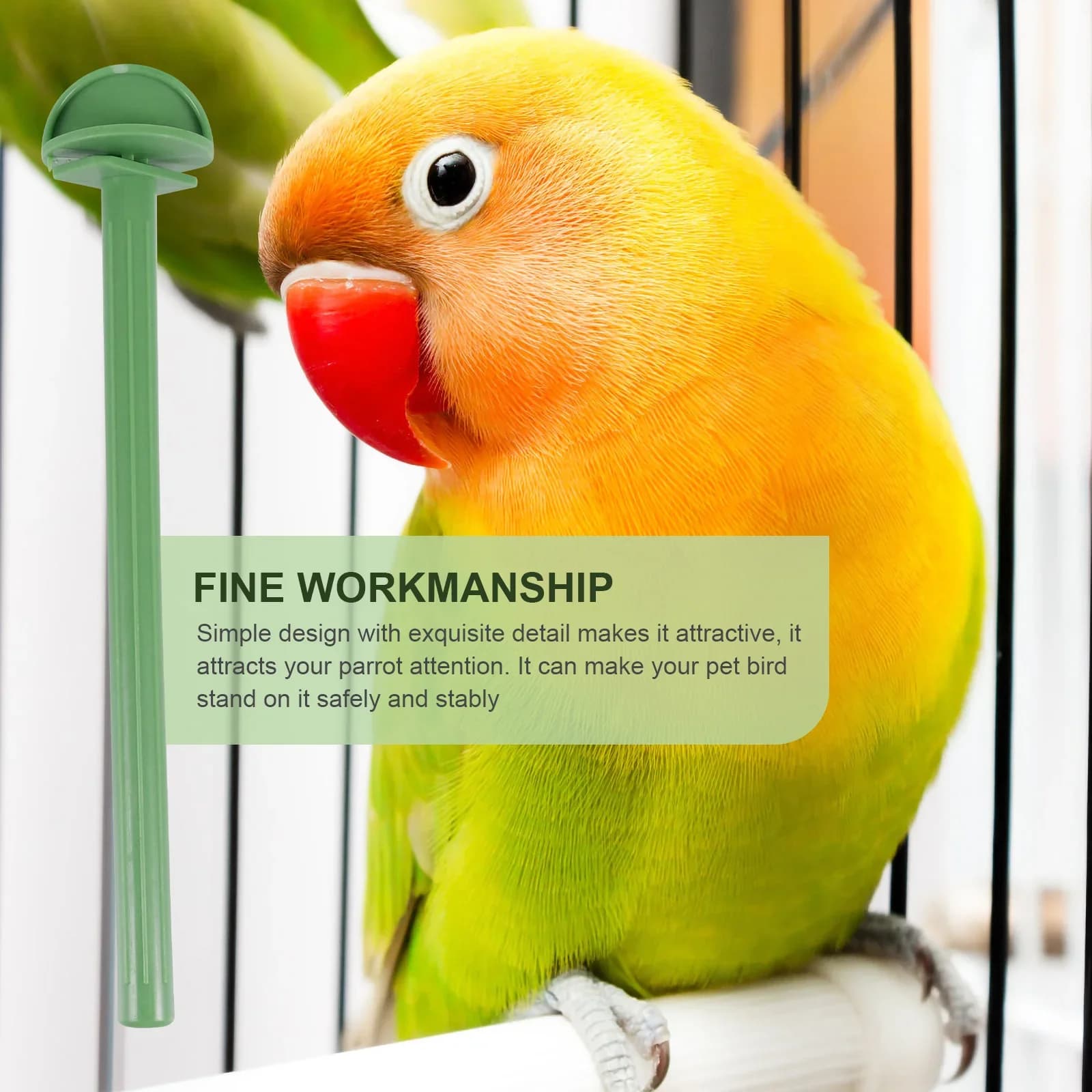 Bird Plastic Perch Pole Stand