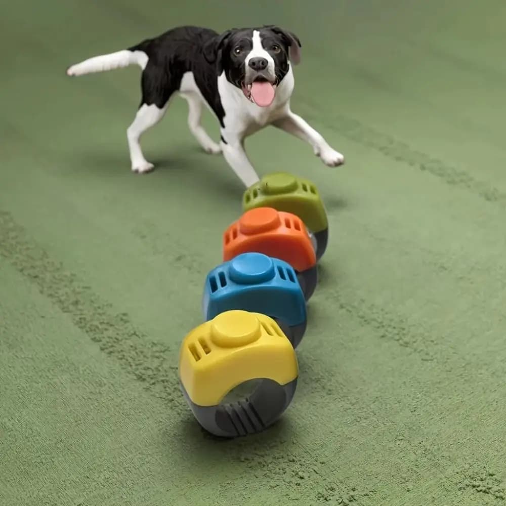 Pet Training Clicker Ring