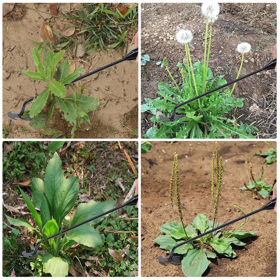 Garden Hoe Agricultural Supplies Weeds Tool Gardening Tools Utensils Hand Herbicide Weed Teacher Farming Farm Accessories