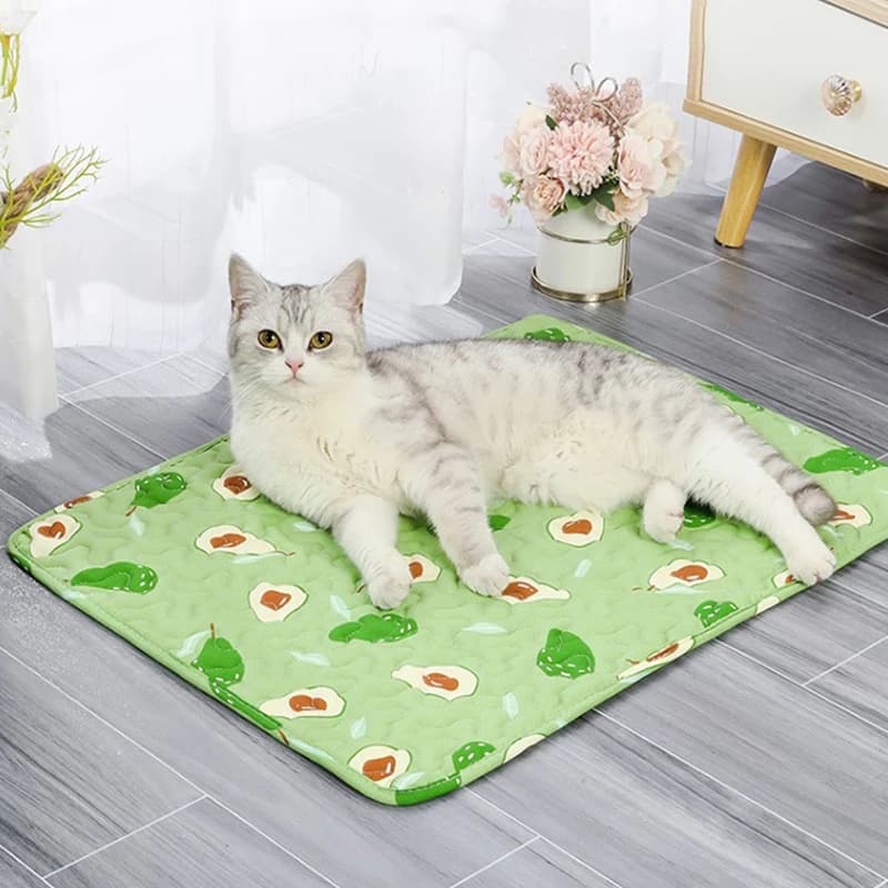 Washable Pet Pad With Waterproof Backing